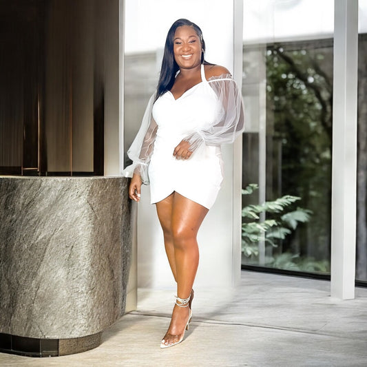 Enchanted Mesh Sleeve Mini Dress