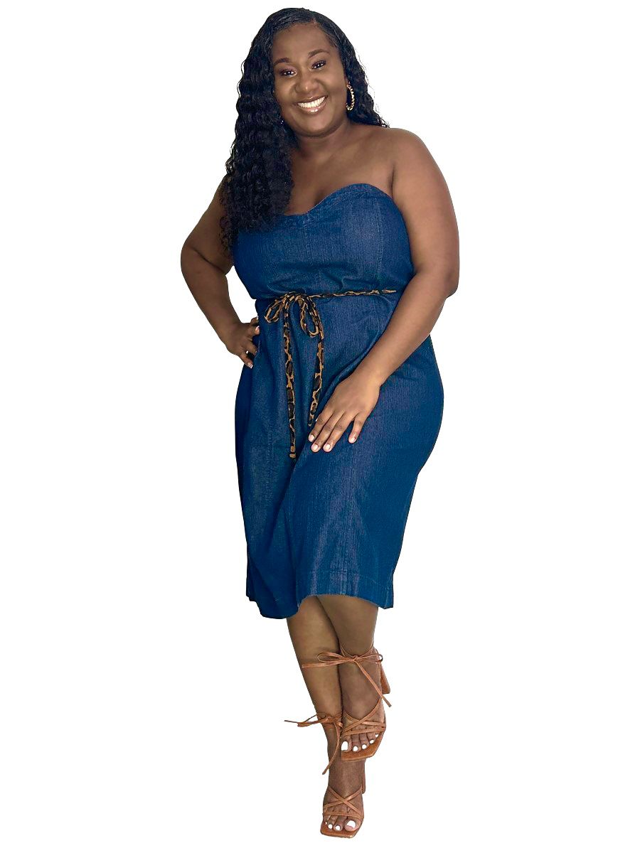 Sunday Funday Denim Dress – Figure Plus Collection